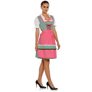 Oktoberfest Dress - Beautiful Dirndl and Apron!